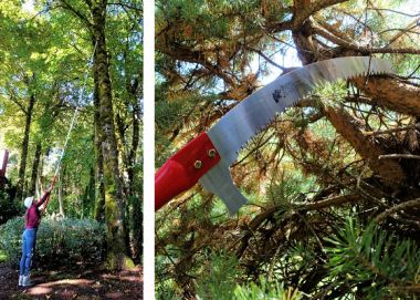 KÉO CẮT CÀNH TRÊN CAO 7.6M BARNEL B555-Z555P3-Z555PR